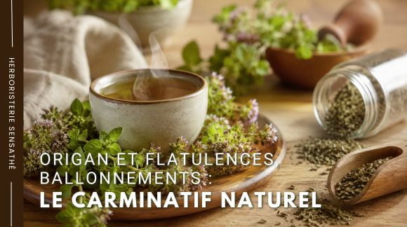 Origan et flatulences, ballonnements  le carminatif naturel - Herboristerie Sensathé